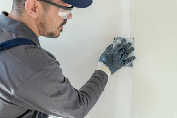 Professional Mold Removal in Mineral Springs, AR